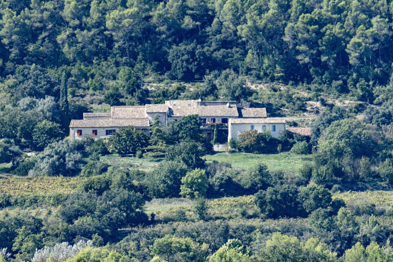 Vignes du Mas Mouriès à Vic-le-Fesq