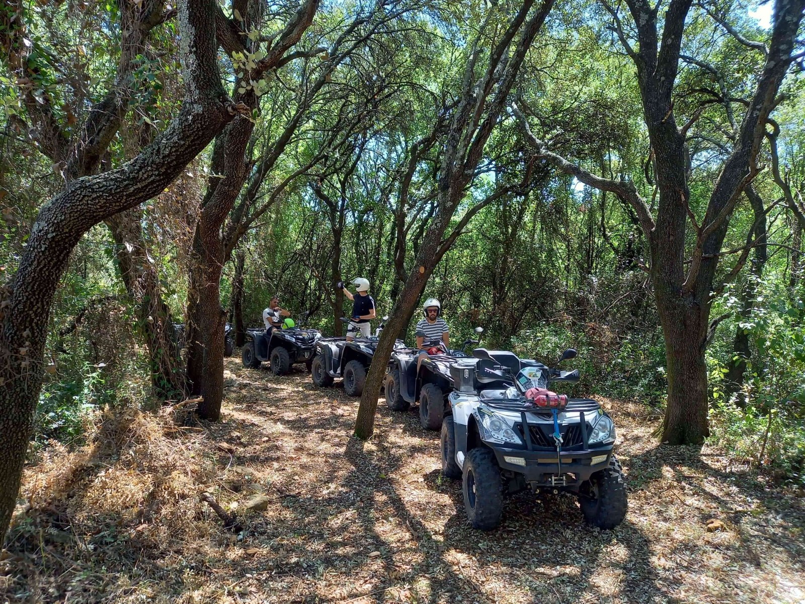 Randonnée en quad